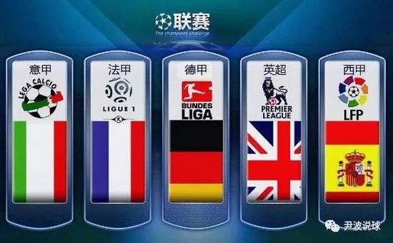 它们不仅是